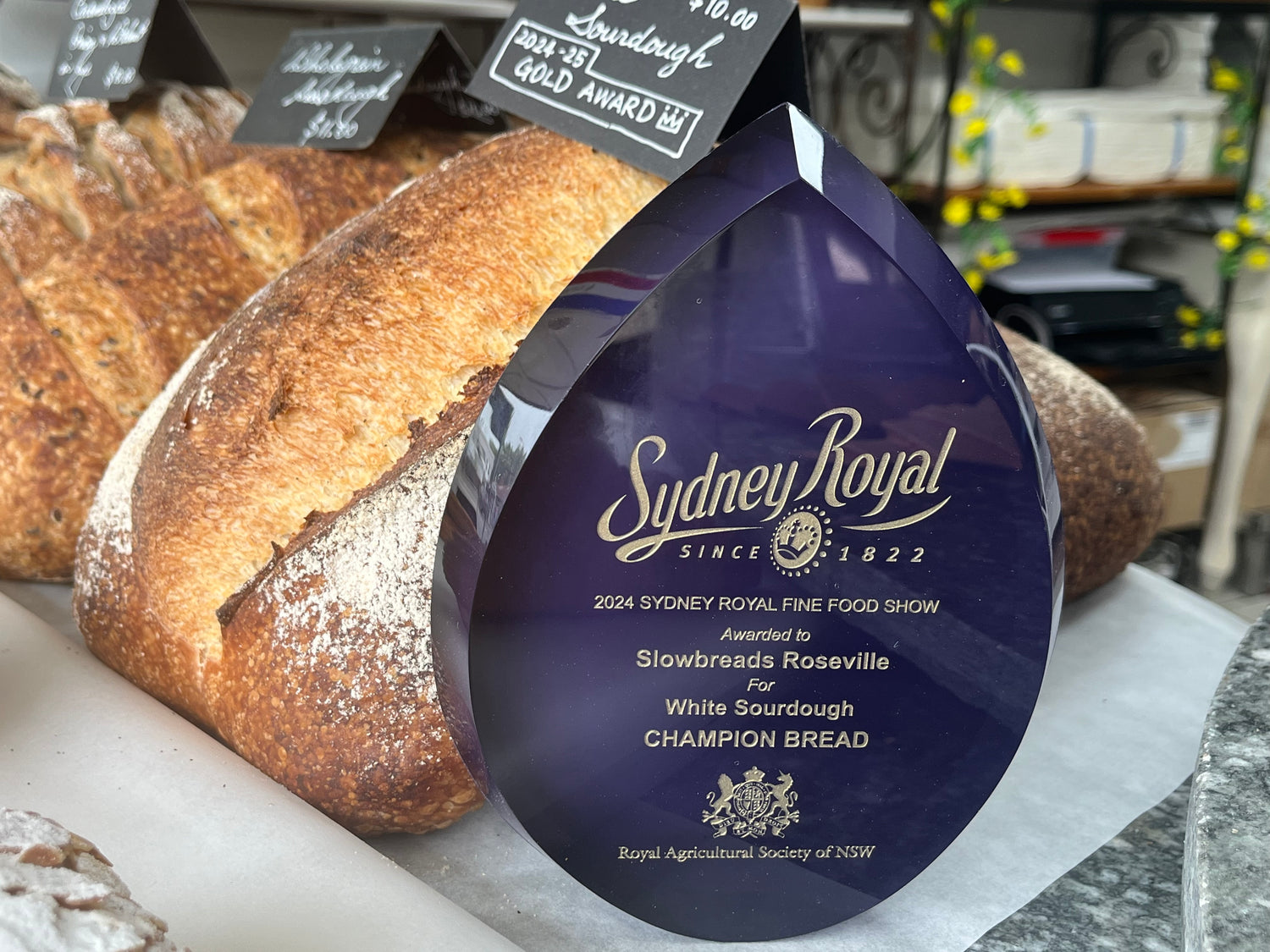 Champion white sourdough