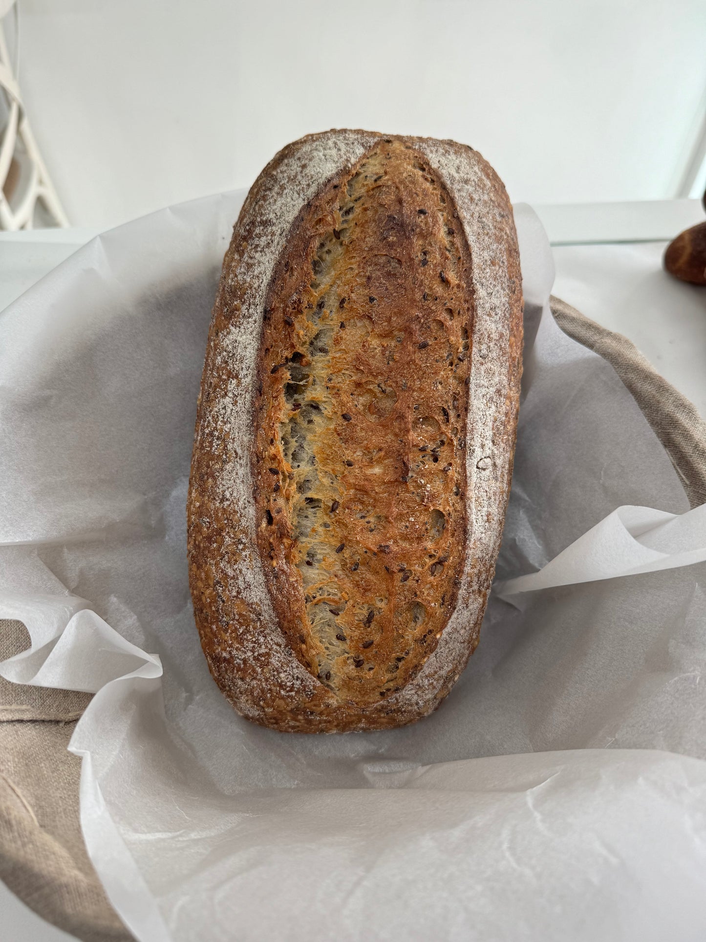 Caraway grain