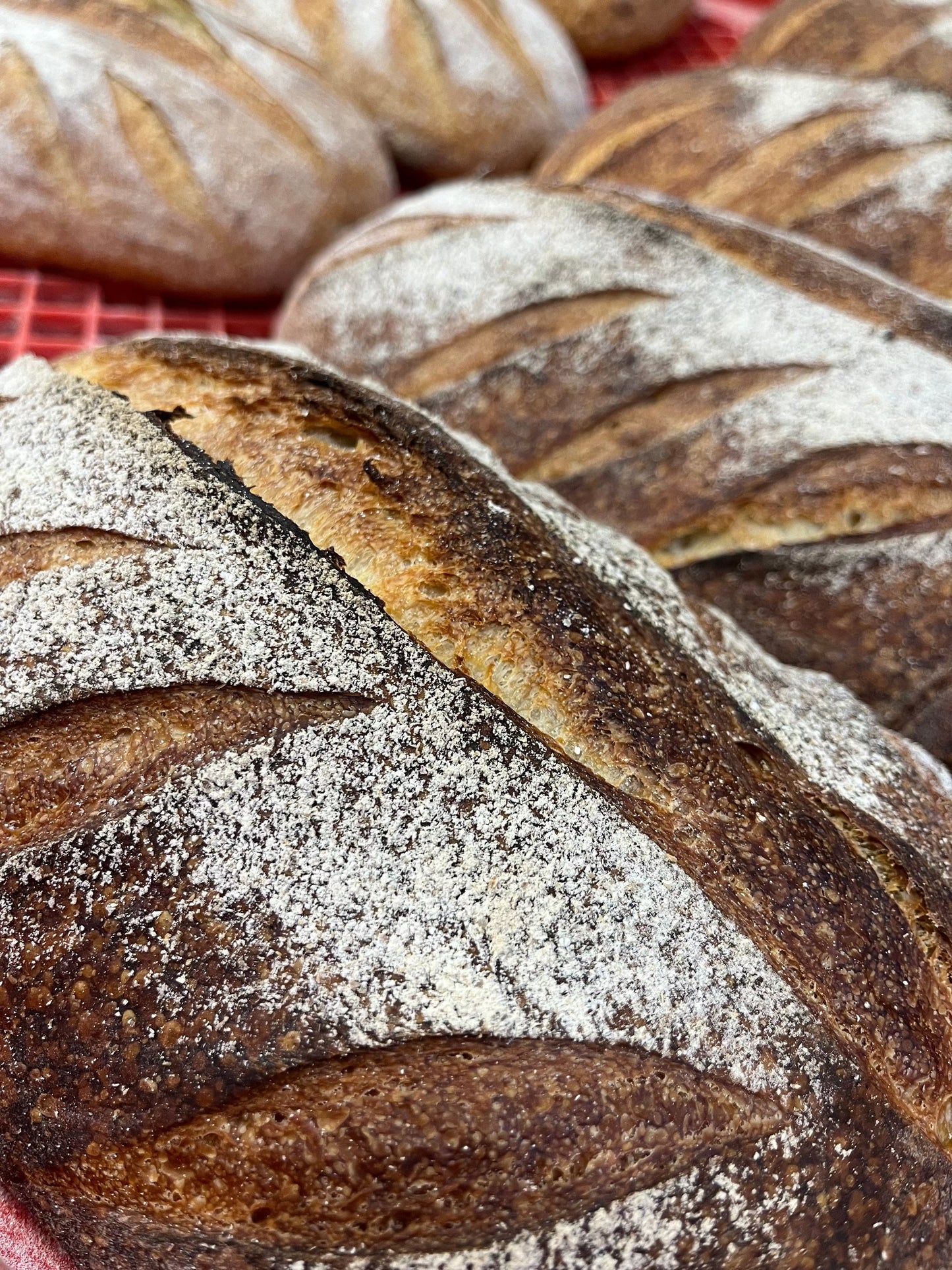 Khorasan Sourdough - 2024/25 Sydney Fine Food Bronze Award Winner! - ONLY AVAILABLE WEDNESDAY & SUNDAY